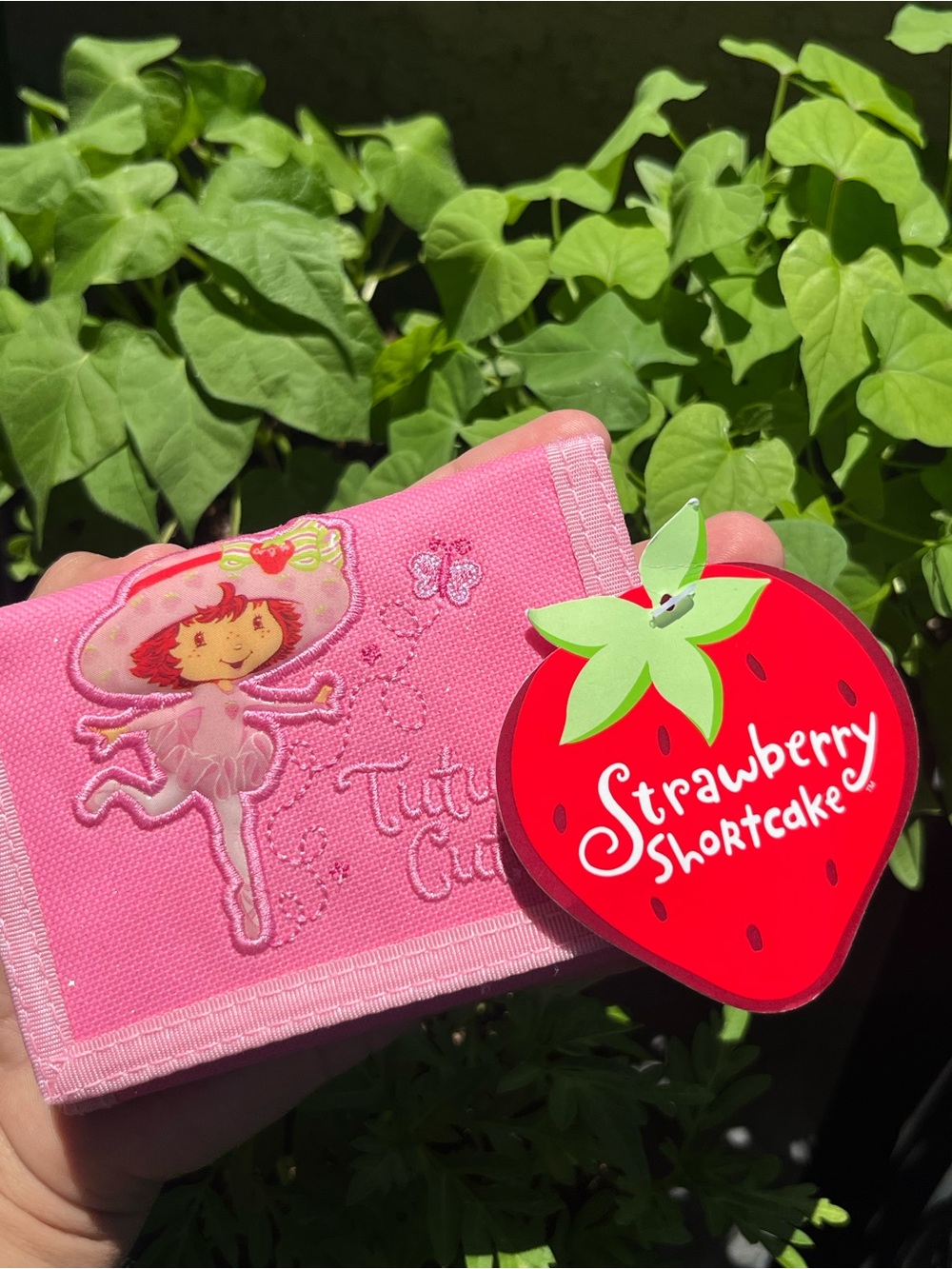 Strawberry shortcake 2000s wallet
